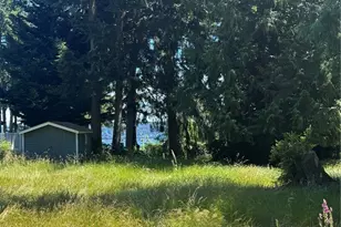 10409 108th St, Anderson Island, WA 98303 - Photo 1