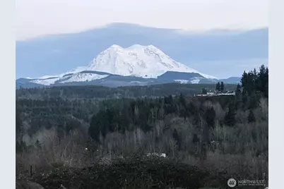 10710 417th Street E, Eatonville, WA 98328 - Photo 37