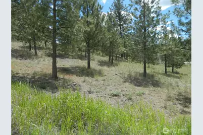 439 Aeneas Valley Road, Tonasket, WA 98855 - Photo 3