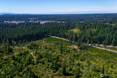 0 Xxxxx Algyer Road SE, Rainier, WA 98576 - Photo 3