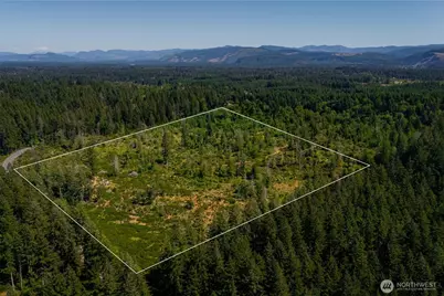 0 Xxxxx Algyer Road SE, Rainier, WA 98576 - Photo 1