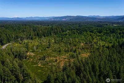 0 Xxxxx Algyer Road SE, Rainier, WA 98576 - Photo 5