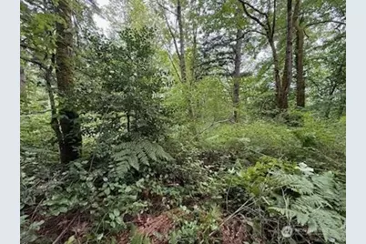 5 Xxx 229th Avenue SE, Issaquah, WA 98027 - Photo 3