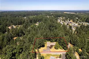 6915 244th St Ct E, Graham, WA 98338 - Photo 29