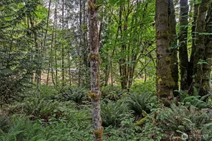 127 Brookside Ln, Chehalis, WA 98532 - Photo 27
