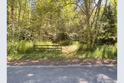 0 Xxx Pleasant Valley Rd, Morton, WA 98356 - Photo 3