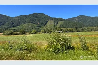 0 Xxx Pleasant Valley Rd, Morton, WA 98356 - Photo 25
