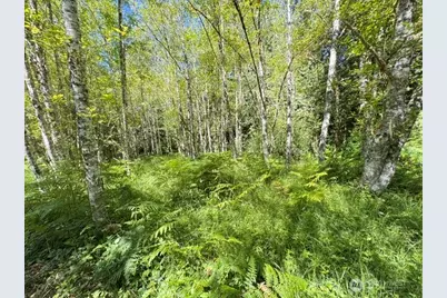 0 Xxx Pleasant Valley Rd, Morton, WA 98356 - Photo 15