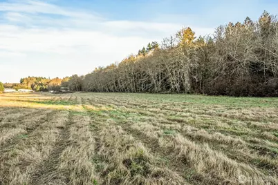 0 Collins Road, Toledo, WA 98591 - Photo 17