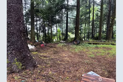 0 Oceanview Drive N, Taholah, WA 98587 - Photo 7