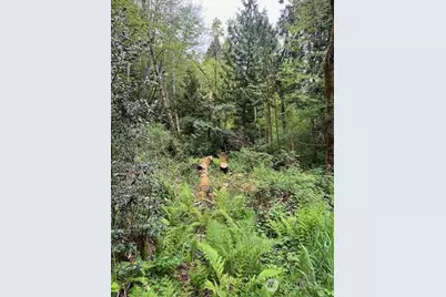 14500 Park Dr SE, Port Orchard, WA 98367 - Photo 3