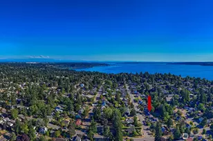 9823 41st Ave SW, Seattle, WA 98136 - Photo 25