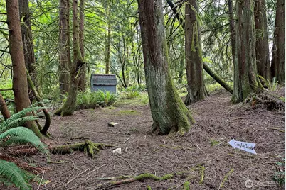 7591 SE Fragaria Road, Olalla, WA 98359 - Photo 31