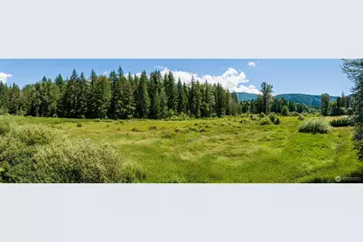 3124 Mosquito Lake Road, Deming, WA 98244 - Photo 33