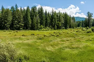 3124 Mosquito Lake Rd, Deming, WA 98244 - Photo 33