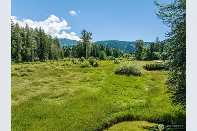 3124 Mosquito Lake Road, Deming, WA 98244 - Photo 31
