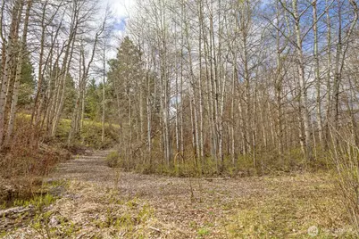 0 Westside Rd - Parcel 10577, Cle Elum, WA 98922 - Photo 25