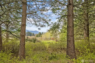 0 Westside Rd - Parcel 10577, Cle Elum, WA 98922 - Photo 27