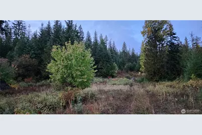 2518 A Bodie Mountain Road, Colville, WA 99114 - Photo 31