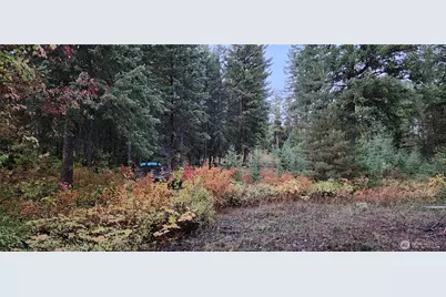 2518 A Bodie Mountain Road, Colville, WA 99114 - Photo 23