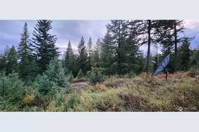 2518 A Bodie Mountain Road, Colville, WA 99114 - Photo 27