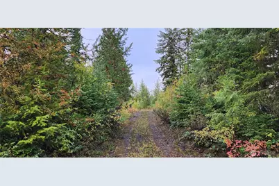 2518 A Bodie Mountain Road, Colville, WA 99114 - Photo 19