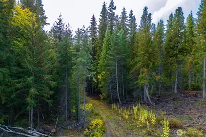 2518 A Bodie Mountain Road, Colville, WA 99114 - Photo 35