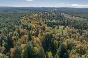 490 Maple Rock Rd, Matlock, WA 98560 - Photo 15