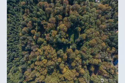 490 Maple Rock Road, Matlock, WA 98560 - Photo 13