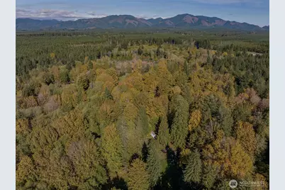 490 Maple Rock Road, Matlock, WA 98560 - Photo 17