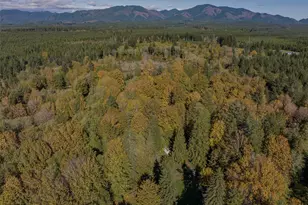490 Maple Rock Rd, Matlock, WA 98560 - Photo 17