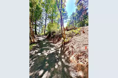 0 Twanoh Place, Belfair, WA 98528 - Photo 3
