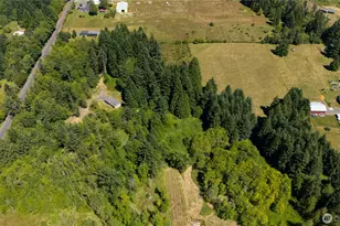 126 Burchett Rd, Onalaska, WA 98570 - Photo 33