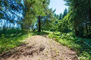 126 Burchett Rd, Onalaska, WA 98570 - Photo 25