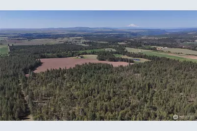 799 Counts Road, Goldendale, WA 98620 - Photo 33