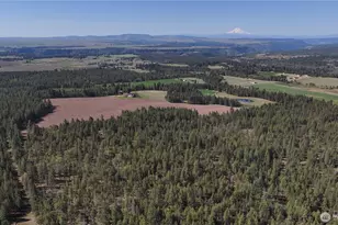 799 Counts Rd, Goldendale, WA 98620 - Photo 33