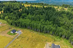 252 Ash Mountain Dr, Castle Rock, WA 98611 - Photo 1