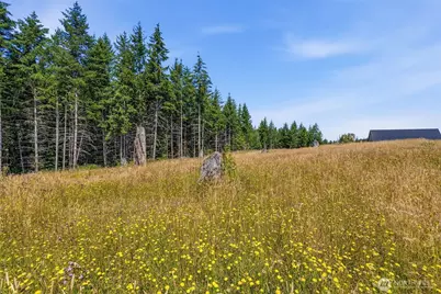 252 Ash Mountain Drive, Castle Rock, WA 98611 - Photo 7