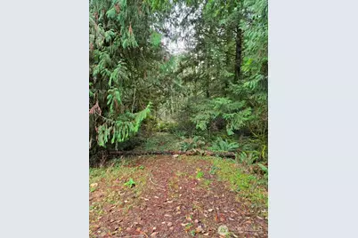 13824 Lone Maple Lane NW, Poulsbo, WA 98370 - Photo 5