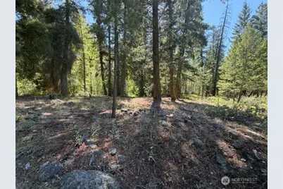 0 E Buttermilk Creek Road, Twisp, WA 98856 - Photo 17