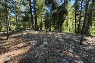 0 E Buttermilk Creek Rd, Twisp, WA 98856 - Photo 1