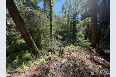 0 E Buttermilk Creek Road, Twisp, WA 98856 - Photo 11