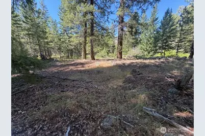 0 E Buttermilk Creek Road, Twisp, WA 98856 - Photo 13