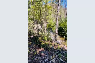 0 E Buttermilk Creek Road, Twisp, WA 98856 - Photo 3