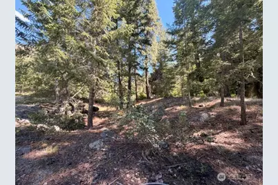 0 E Buttermilk Creek Road, Twisp, WA 98856 - Photo 19