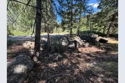 0 E Buttermilk Creek Road, Twisp, WA 98856 - Photo 9