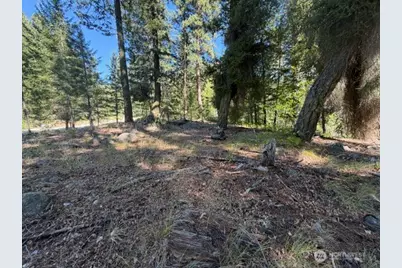 0 E Buttermilk Creek Road, Twisp, WA 98856 - Photo 15