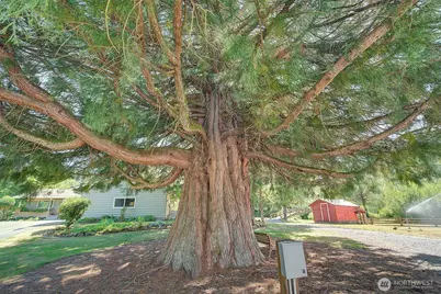 18021 Issaquah Hobart Road SE, Issaquah, WA 98027 - Photo 39