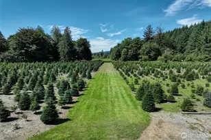 18021 Issaquah-Hobart Road Southeast, Issaquah, WA 98027 - Photo 7