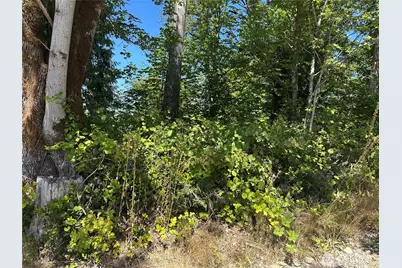 0 Xxx Hippie Hill Road, Belfair, WA 98528 - Photo 5